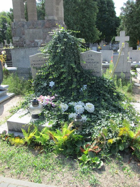 Józef LEWANDOWSKI 1930 Włocławek 0965 - Grobonet - Wyszukiwarka osób pochowanych