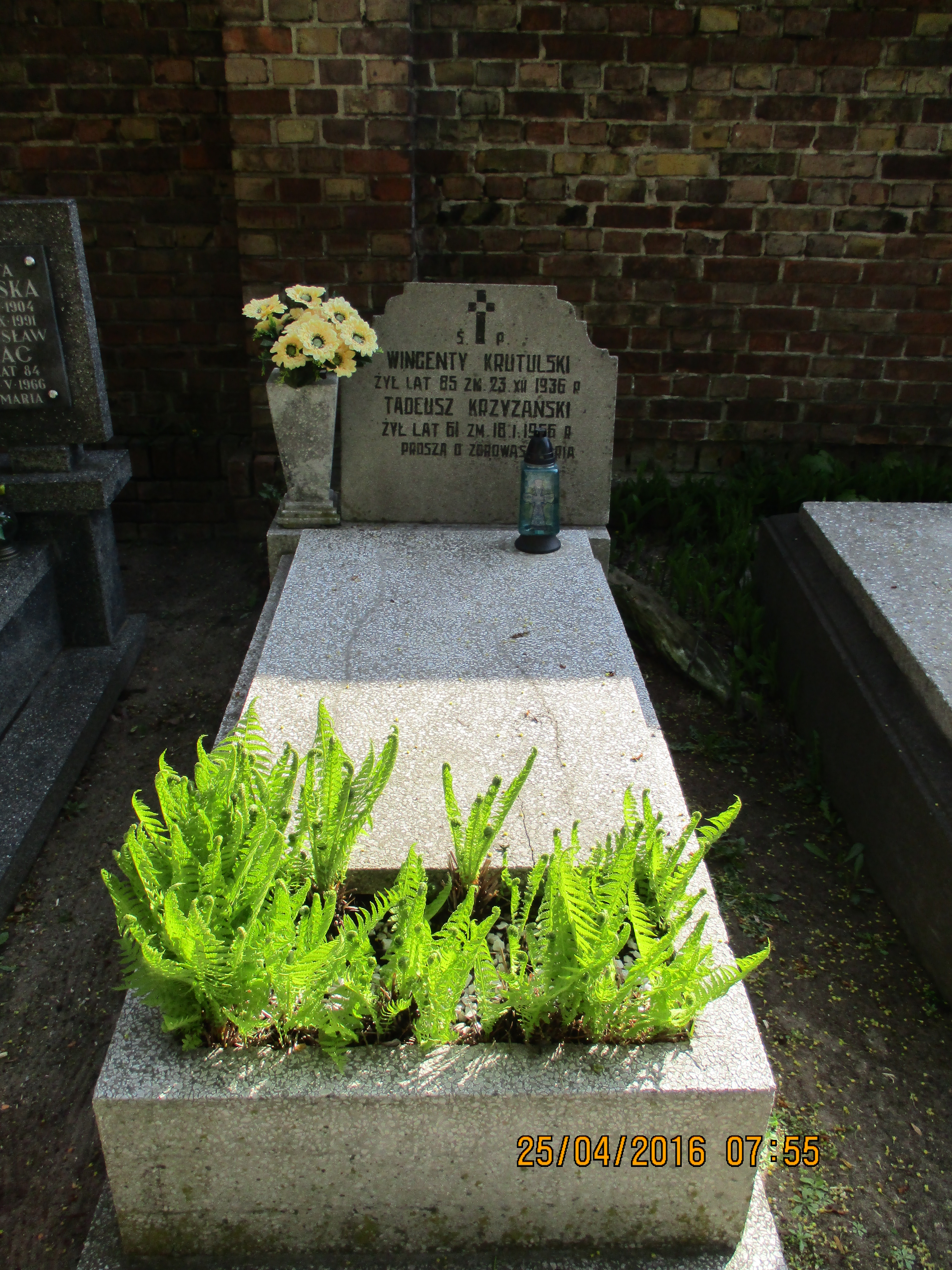 Wincenty KRUTULSKI Włocławek 0965 - Grobonet - Wyszukiwarka osób pochowanych