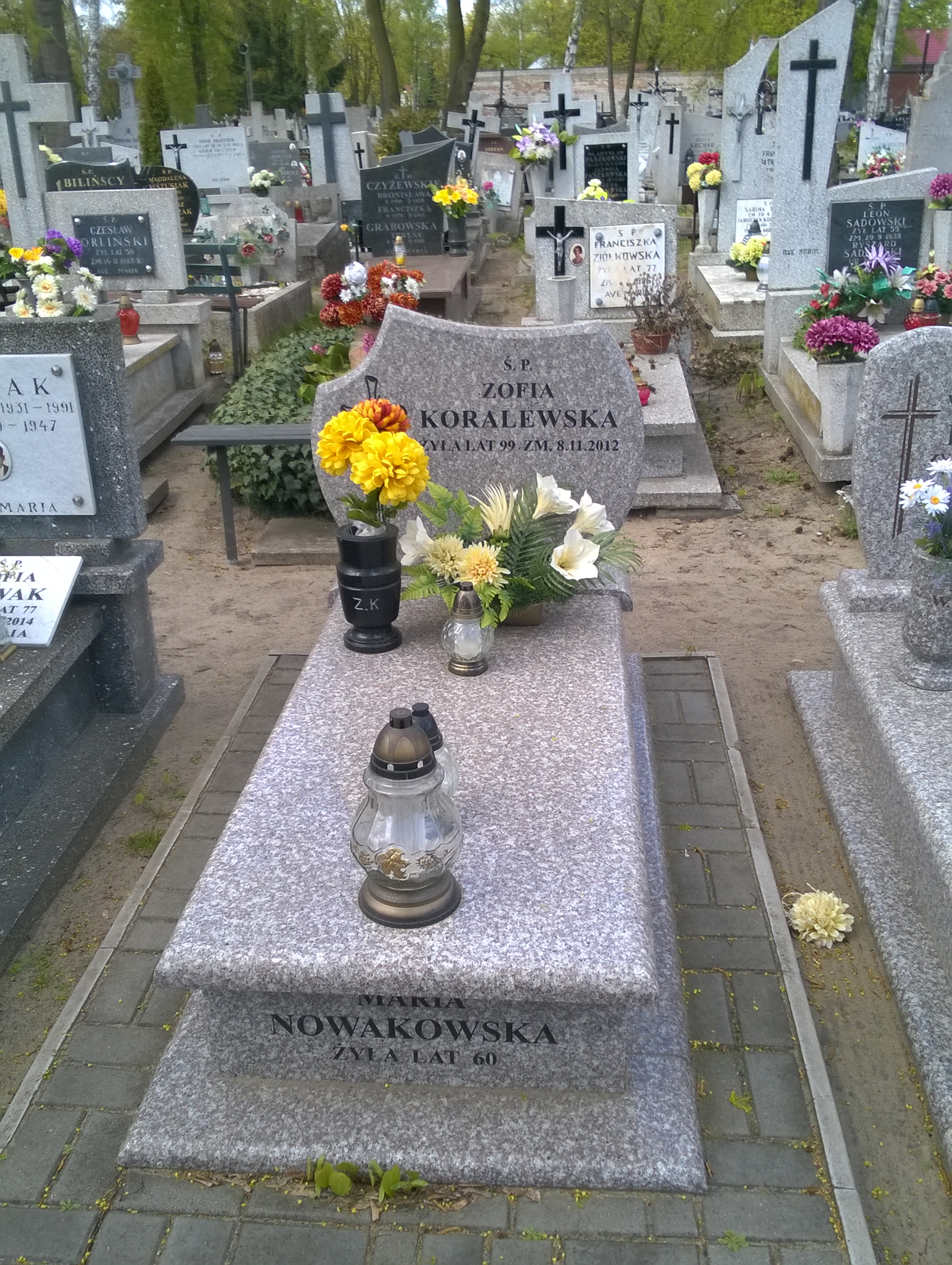 Zofia KORALEWSKA 1913 Włocławek 0965 - Grobonet - Wyszukiwarka osób pochowanych