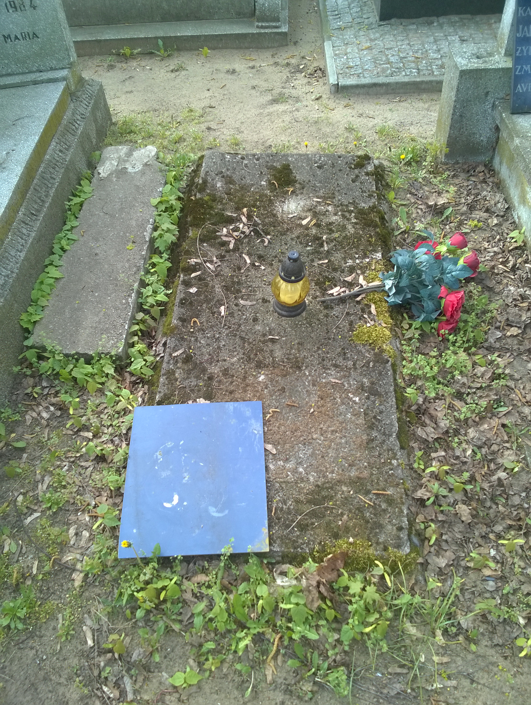 Józef TROCZYŃSKI 1899 Włocławek 0965 - Grobonet - Wyszukiwarka osób pochowanych