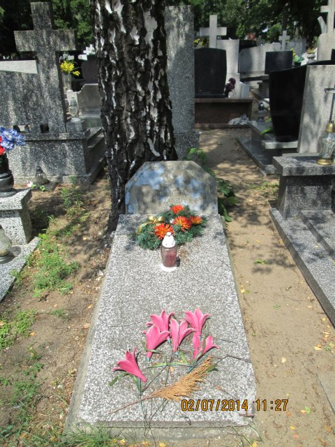 Aniela WRÓBLEWSKA 1863 Włocławek 0965 - Grobonet - Wyszukiwarka osób pochowanych