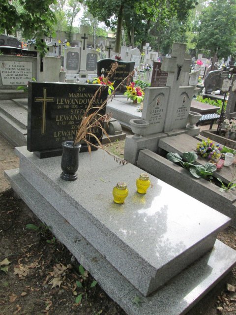 Stefan LEWANDOWSKI 1915 Włocławek 0965 - Grobonet - Wyszukiwarka osób pochowanych