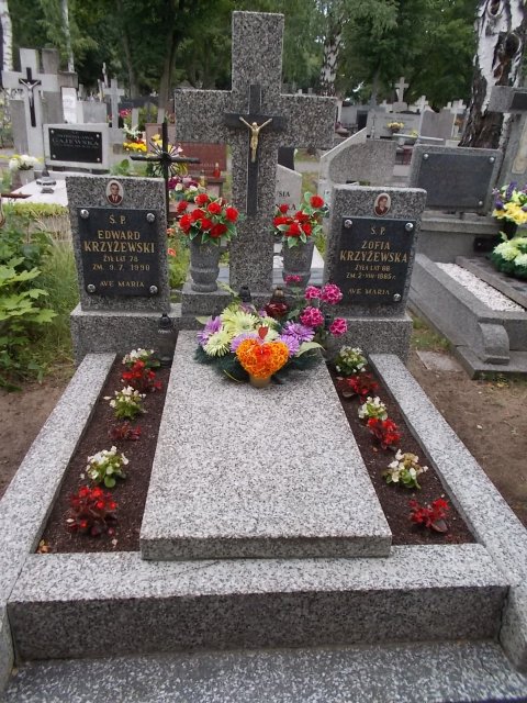 Kazimierz Józef RUTKOWSKI 1945 Włocławek 0965 - Grobonet - Wyszukiwarka osób pochowanych