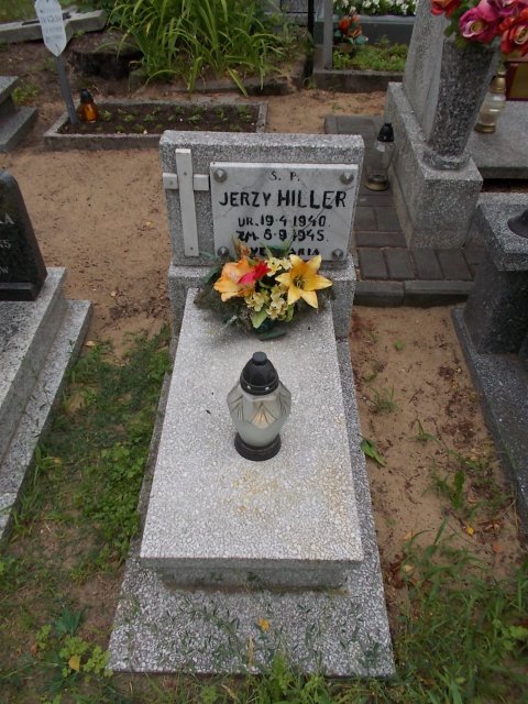 Jan ZWOLIŃSKI 1925 Włocławek 0965 - Grobonet - Wyszukiwarka osób pochowanych