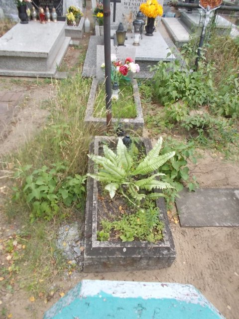 Paweł KURDUBSKI 1961 Włocławek 0965 - Grobonet - Wyszukiwarka osób pochowanych