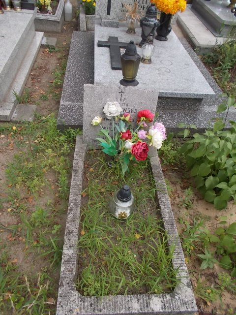 Stanisław Roman DOBROSZ 1945 Włocławek 0965 - Grobonet - Wyszukiwarka osób pochowanych