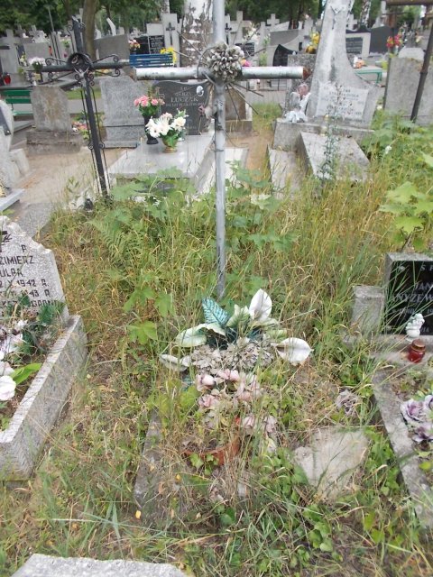 Jadwiga Kazimiera ŻYCHLIŃSKA 1945 Włocławek 0965 - Grobonet - Wyszukiwarka osób pochowanych