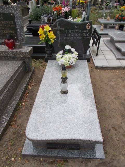 Mirosława Kazimiera LEWANDOWSKA 1944 Włocławek 0965 - Grobonet - Wyszukiwarka osób pochowanych
