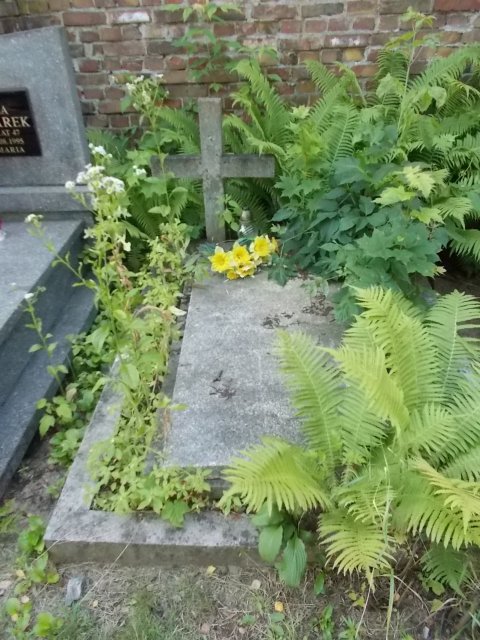 Barbara Maria TYRAJSKA 1945 Włocławek 0965 - Grobonet - Wyszukiwarka osób pochowanych