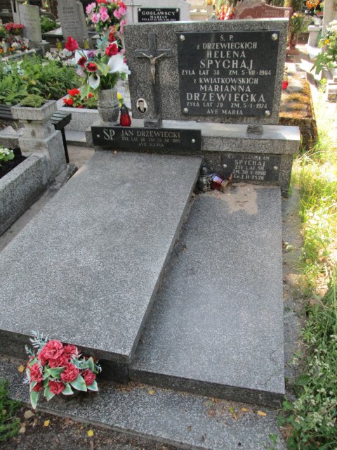 Jan DRZEWIECKI 1929 Włocławek 0965 - Grobonet - Wyszukiwarka osób pochowanych