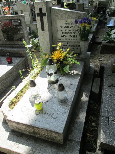 Franciszek WIŚNIEWSKI 1908 Włocławek 0965 - Grobonet - Wyszukiwarka osób pochowanych