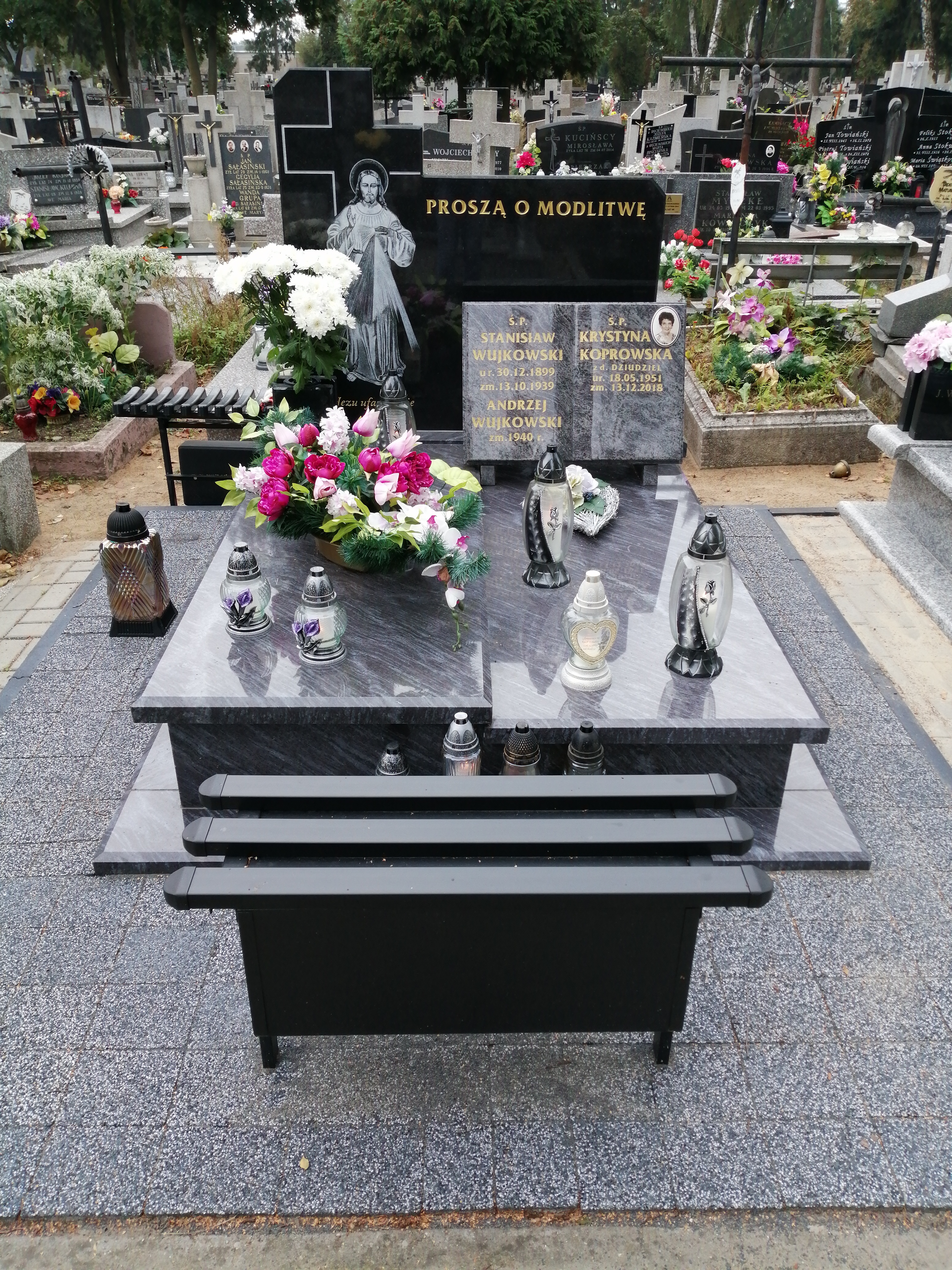 Stanisław WUJKOWSKI 1899 Włocławek 0965 - Grobonet - Wyszukiwarka osób pochowanych