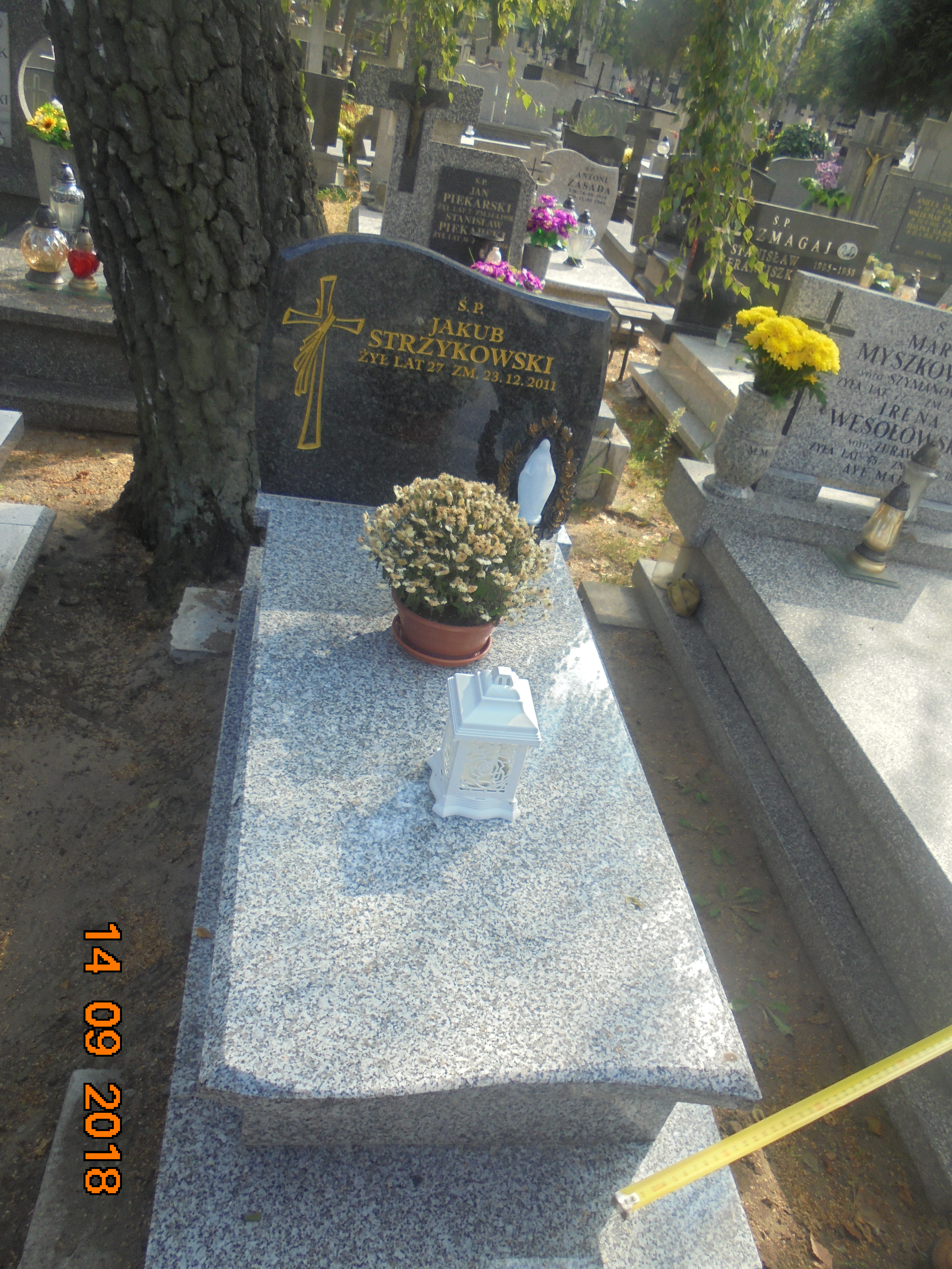 Jakub STRZYKOWSKI 1984 Włocławek 0965 - Grobonet - Wyszukiwarka osób pochowanych