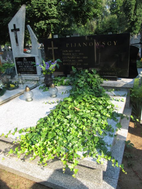 Maria PIJANOWSKA 1873 Włocławek 0965 - Grobonet - Wyszukiwarka osób pochowanych