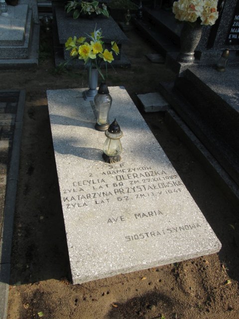 Katarzyna PRZYSTAŁOWSKA 1899 Włocławek 0965 - Grobonet - Wyszukiwarka osób pochowanych