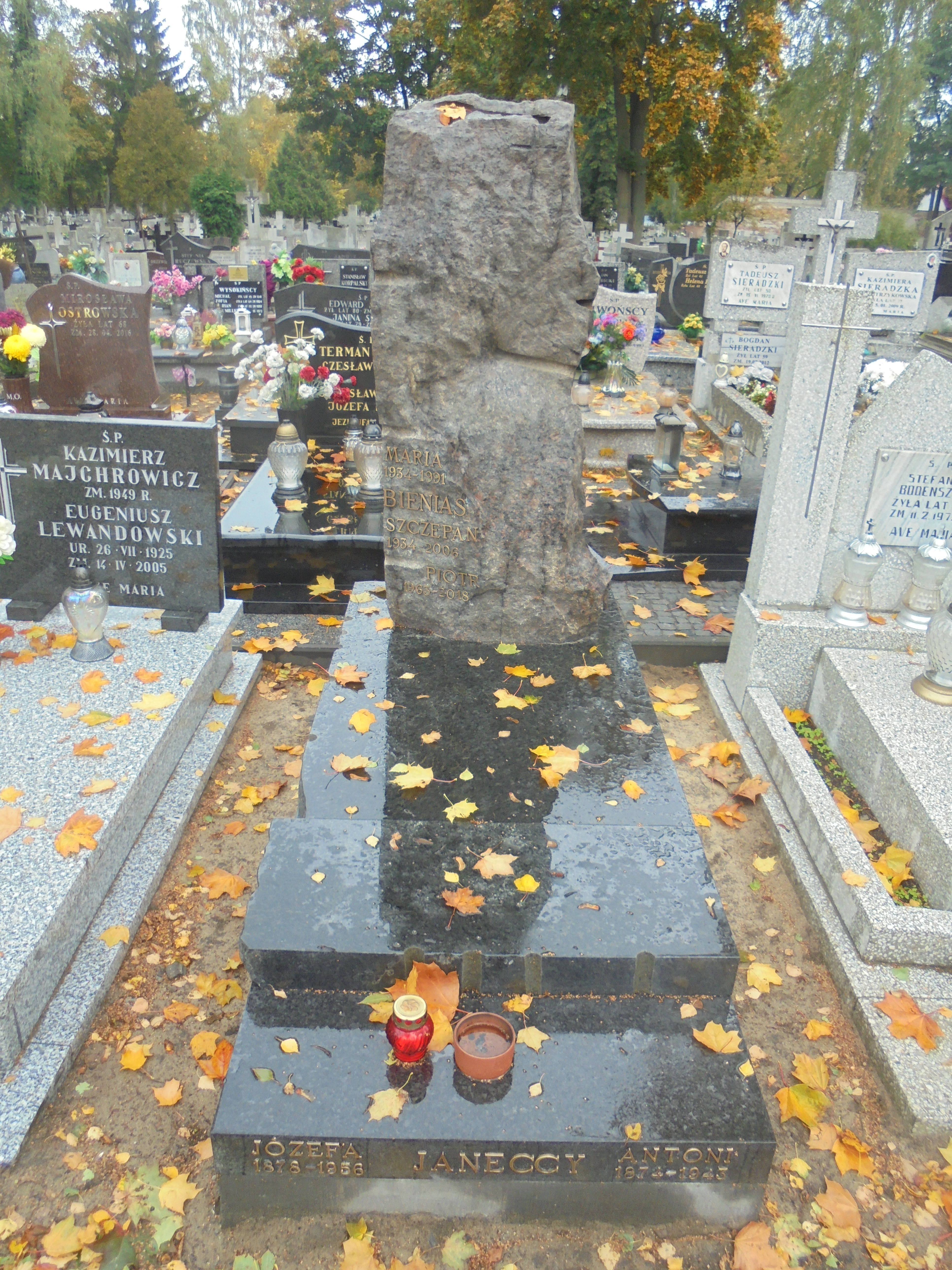 Szczepan Wacław BIENIAS 1934 Włocławek 0965 - Grobonet - Wyszukiwarka osób pochowanych