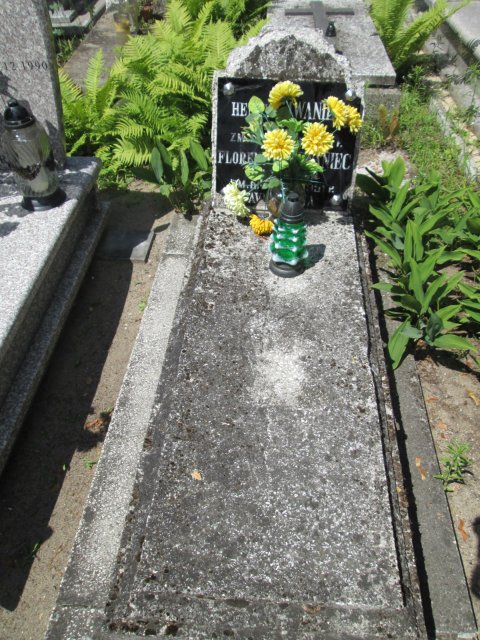 Florentyna IWANIEC 1868 Włocławek 0965 - Grobonet - Wyszukiwarka osób pochowanych