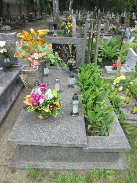 Genowefa EBELT 1910 Włocławek 0965 - Grobonet - Wyszukiwarka osób pochowanych