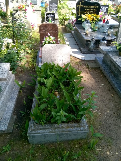 MARIANNA ADRIANA IMPERT 1945 Włocławek 0965 - Grobonet - Wyszukiwarka osób pochowanych