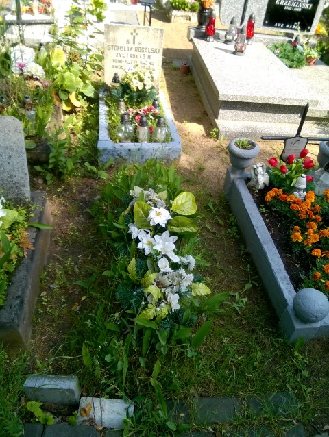 Kazimierz ALBIŃSKI 1942 Włocławek 0965 - Grobonet - Wyszukiwarka osób pochowanych