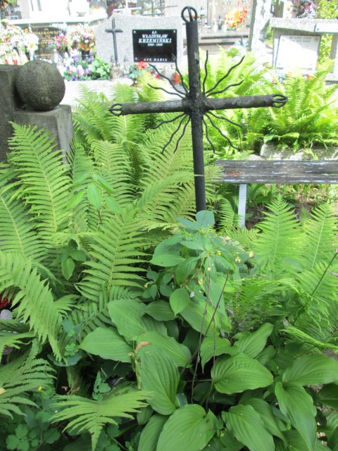 Włodzimierz Kazimierz BALCZYŃSKI 1944 Włocławek 0965 - Grobonet - Wyszukiwarka osób pochowanych