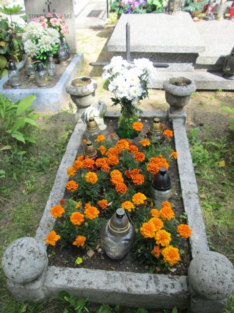 Maria DOMINIKOWSKA 1946 Włocławek 0965 - Grobonet - Wyszukiwarka osób pochowanych