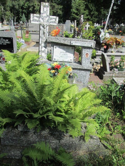 Robert PABIS 1968 Włocławek 0965 - Grobonet - Wyszukiwarka osób pochowanych