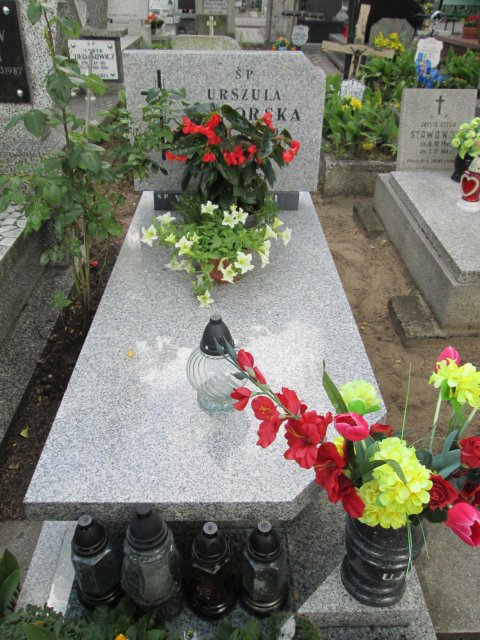 Urszula JEZIORSKA 1956 Włocławek 0965 - Grobonet - Wyszukiwarka osób pochowanych