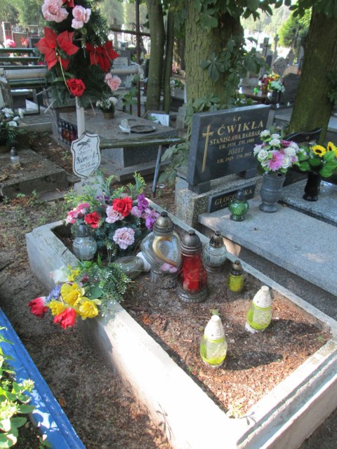 Kazimierz ŻEBROWSKI 1899 Włocławek 0965 - Grobonet - Wyszukiwarka osób pochowanych