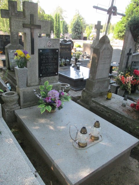 Andrzej ZIEMNICKI 1949 Włocławek 0965 - Grobonet - Wyszukiwarka osób pochowanych