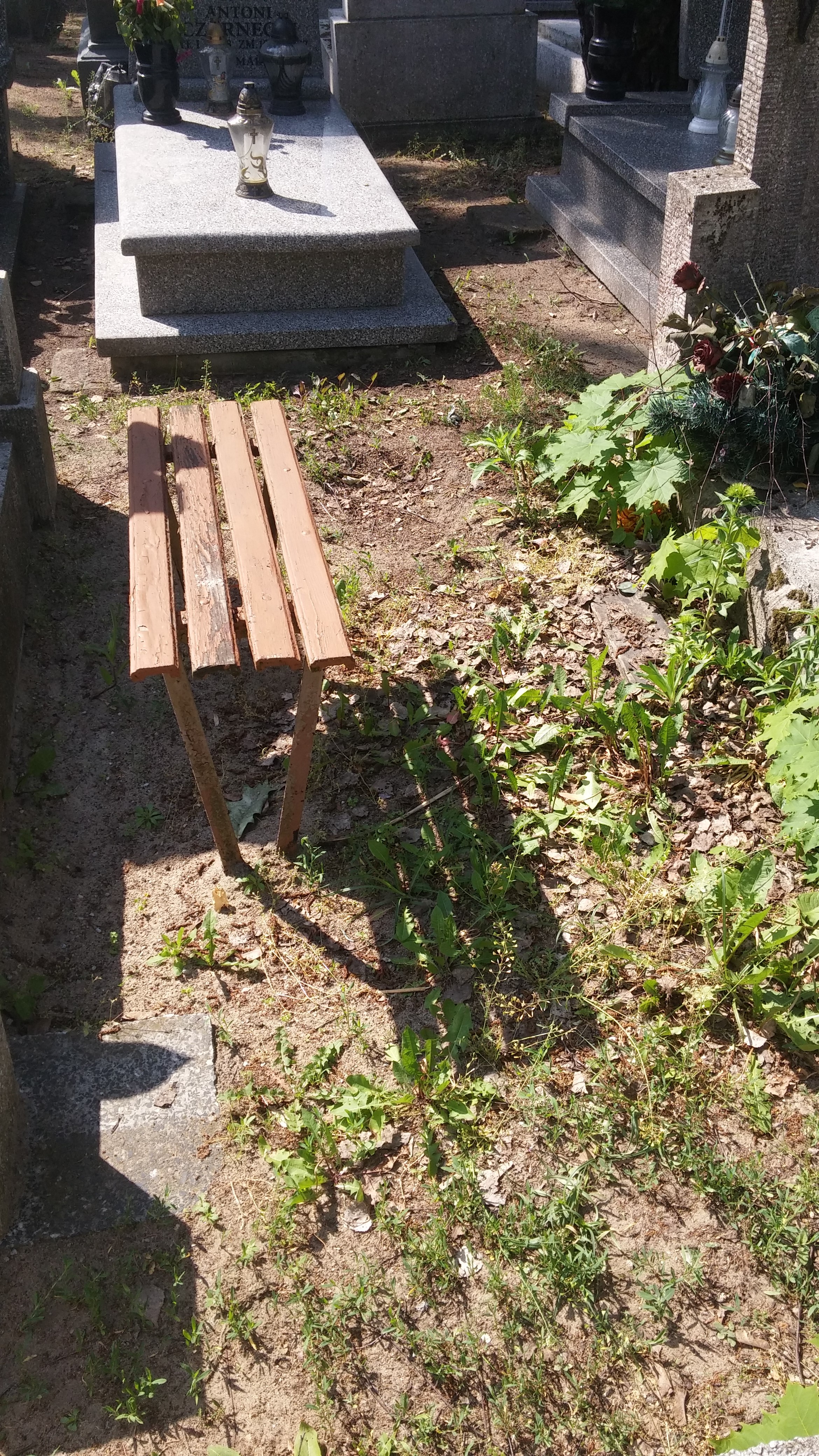 Leon KUJAWA 1888 Włocławek 0965 - Grobonet - Wyszukiwarka osób pochowanych