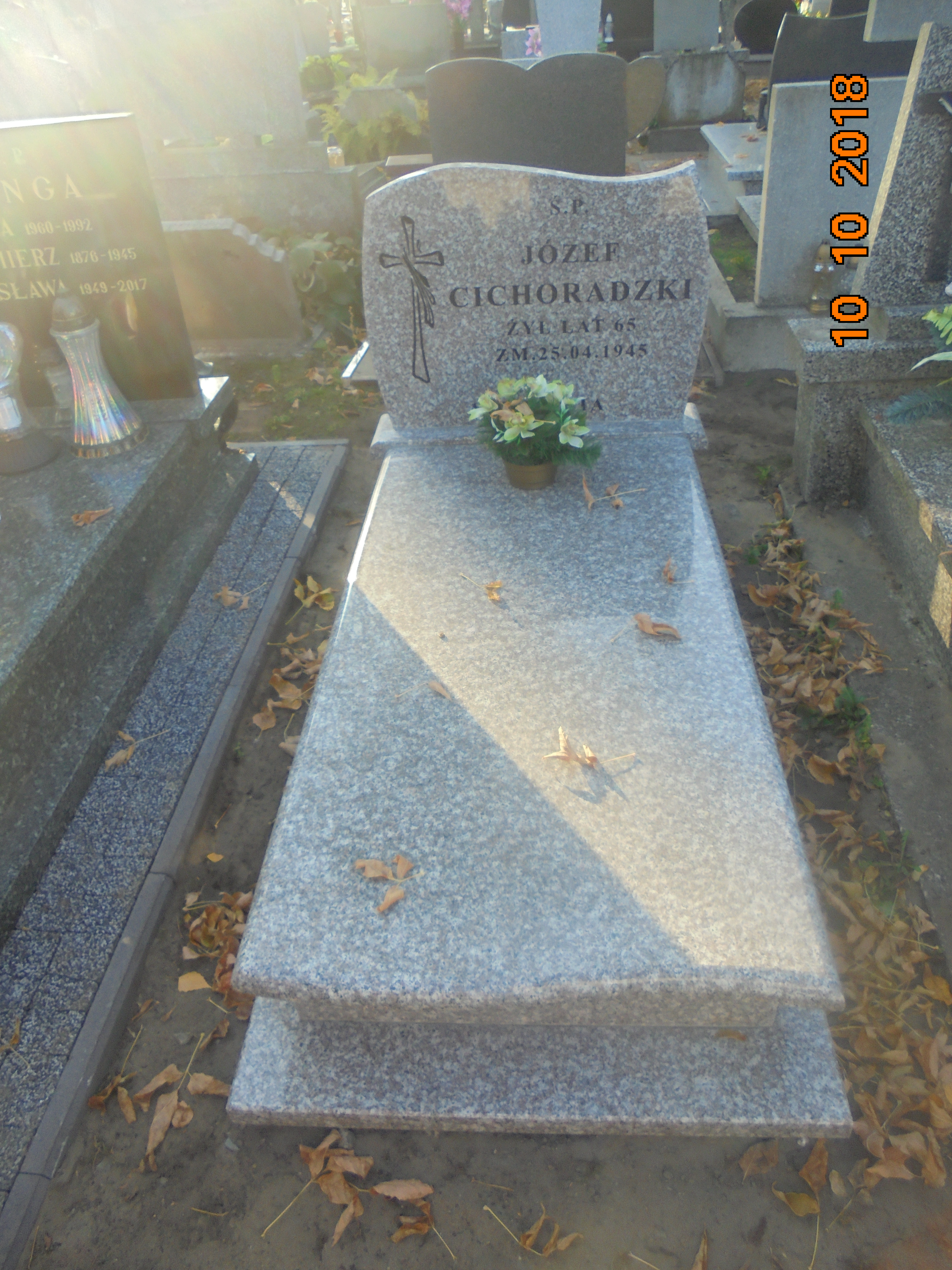 Józef CICHORADZKI 1880 Włocławek 0965 - Grobonet - Wyszukiwarka osób pochowanych