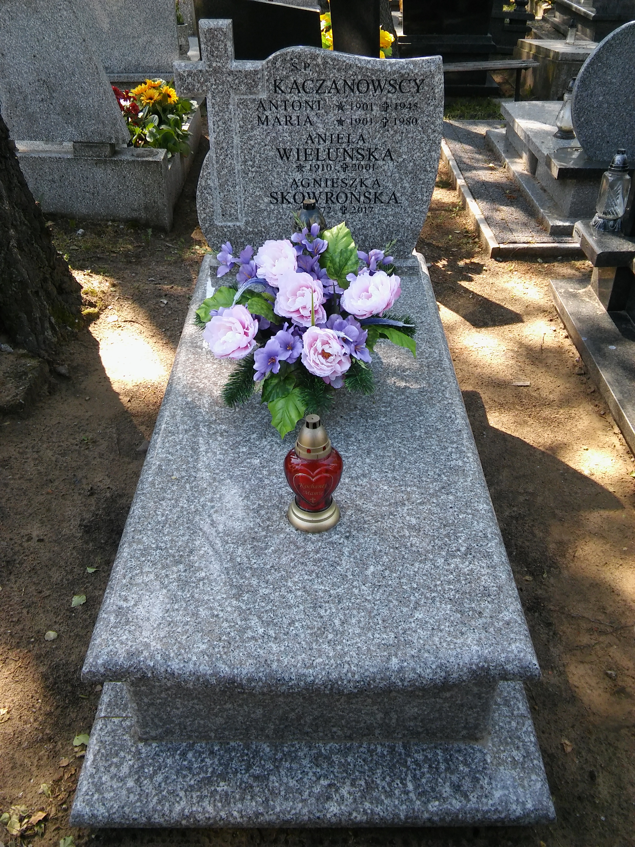 Antoni KACZANOWSKI 1900 Włocławek 0965 - Grobonet - Wyszukiwarka osób pochowanych