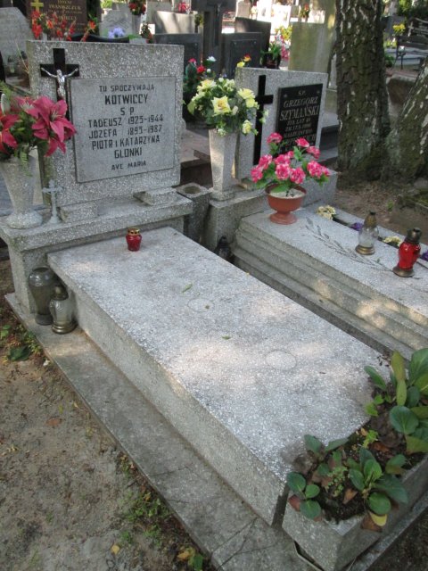 JÓZEF , GLONEK PIOTR I KATARZYNA KOTWICKI 1899 Włocławek 0965 - Grobonet - Wyszukiwarka osób pochowanych