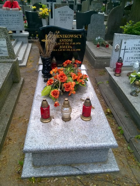 Janusz PIERNIKOWSKI 1938 Włocławek 0965 - Grobonet - Wyszukiwarka osób pochowanych