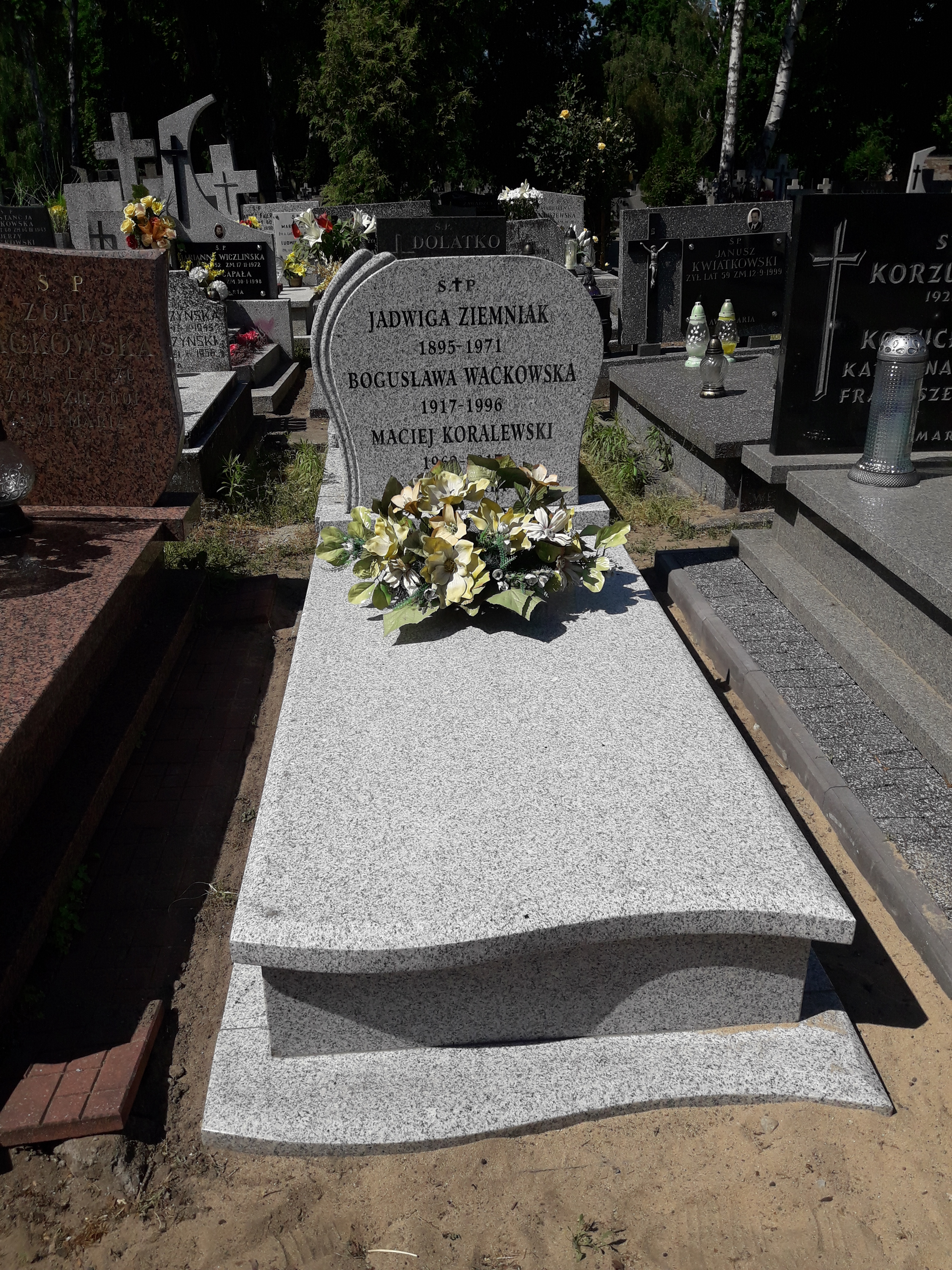 Maciej KORALEWSKI 1962 Włocławek 0965 - Grobonet - Wyszukiwarka osób pochowanych