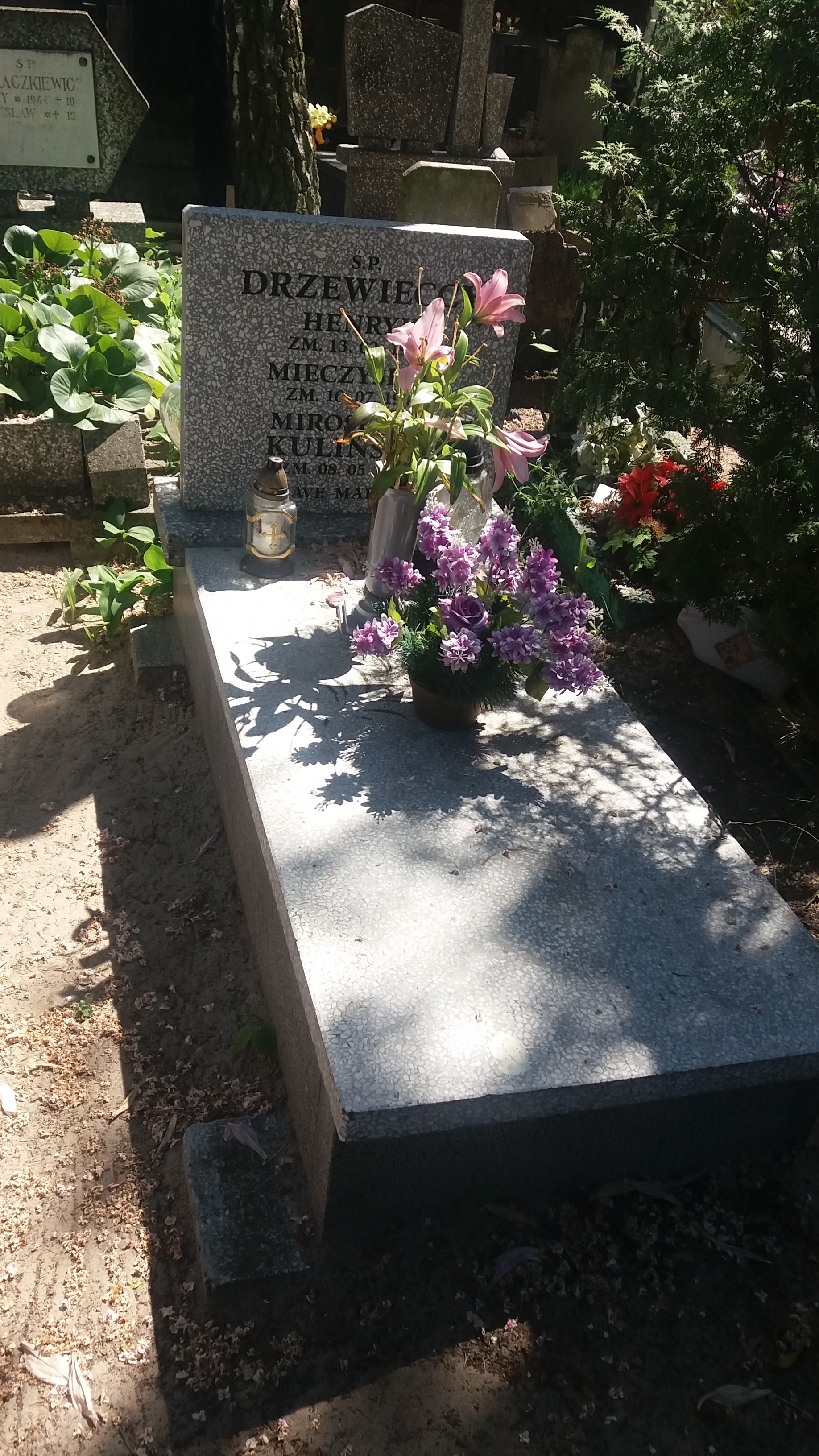 Mieczysław Kazimierz DRZEWIECKI 1944 Włocławek 0965 - Grobonet - Wyszukiwarka osób pochowanych