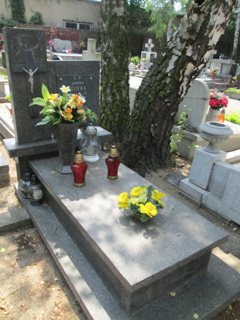 JERZY KAZIMIERZ KRĘCICKI 1943 Włocławek 0965 - Grobonet - Wyszukiwarka osób pochowanych