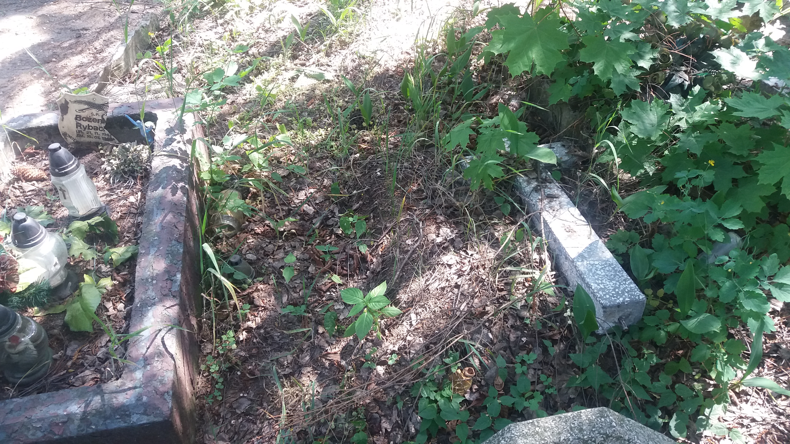 Jadwiga Kazimiera KRZEMIŃSKA 1944 Włocławek 0965 - Grobonet - Wyszukiwarka osób pochowanych