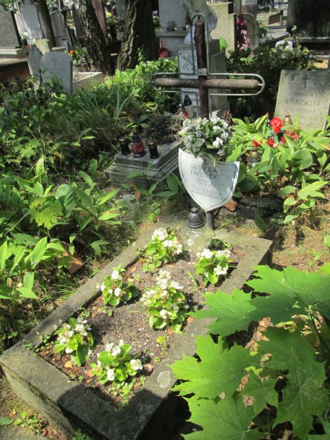 Krystyna Felicja WOŁEK 1945 Włocławek 0965 - Grobonet - Wyszukiwarka osób pochowanych