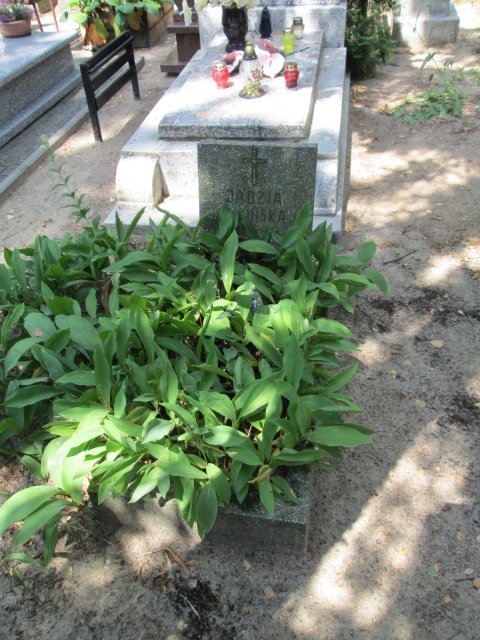 Jadwiga BILIŃSKA 1945 Włocławek 0965 - Grobonet - Wyszukiwarka osób pochowanych