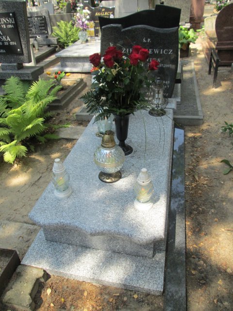 Zygmunt Antoni ZIEMKIEWICZ 1941 Włocławek 0965 - Grobonet - Wyszukiwarka osób pochowanych