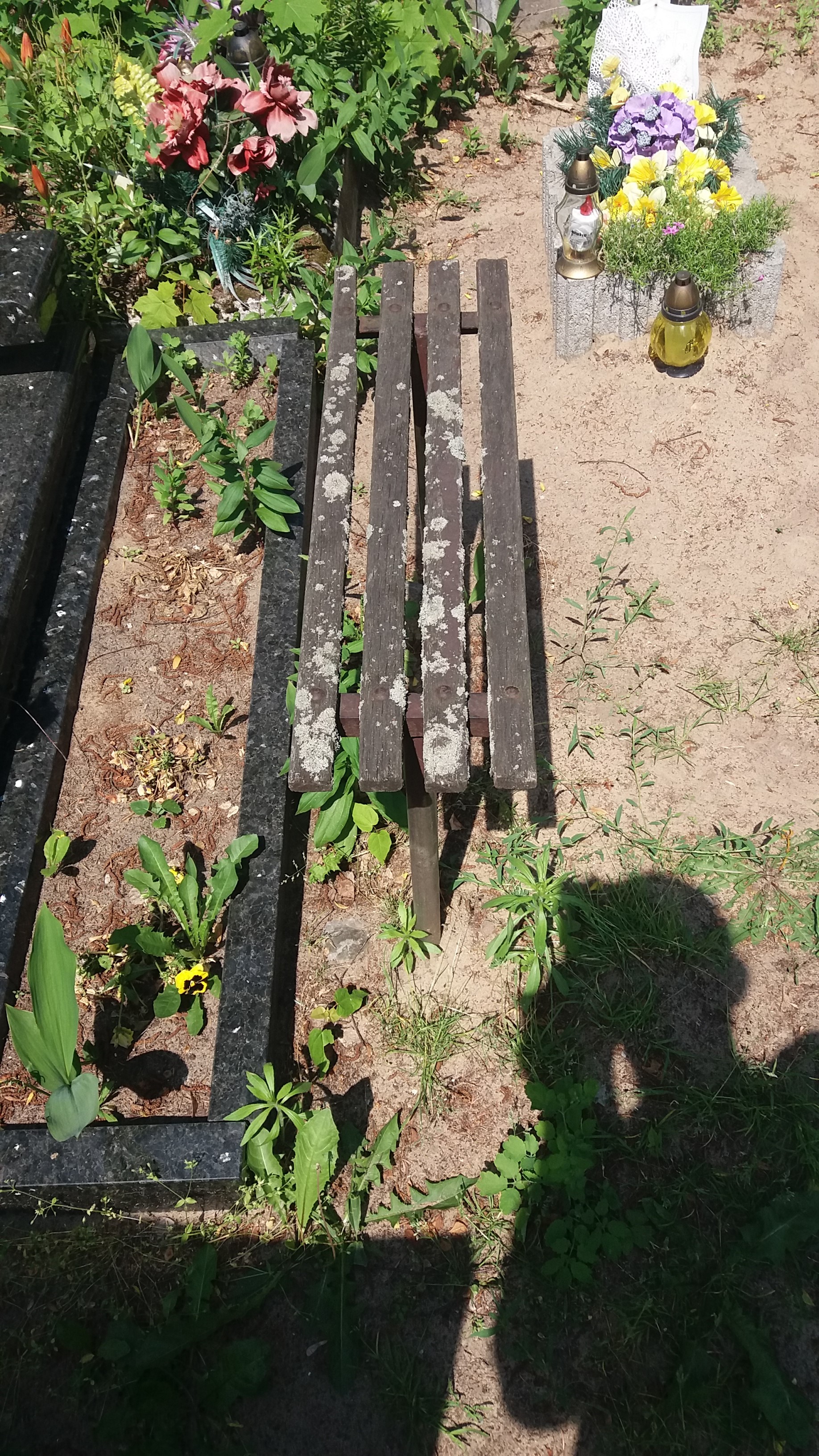 Janina Marta BŁASZCZAK 1945 Włocławek 0965 - Grobonet - Wyszukiwarka osób pochowanych