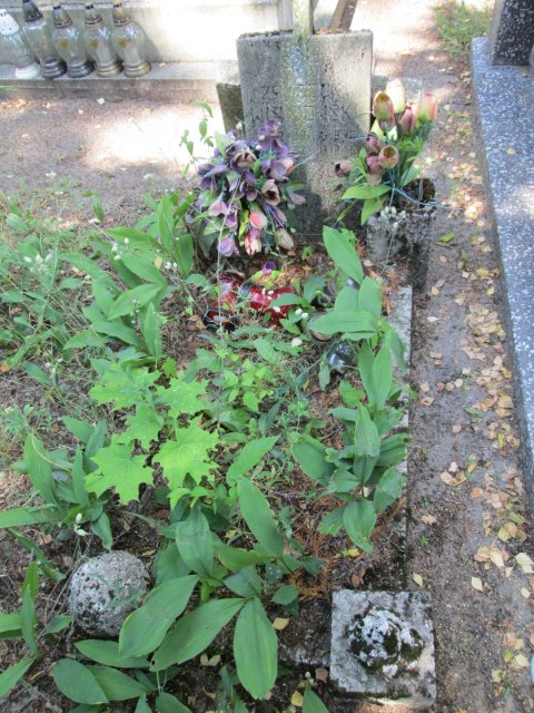 Zbigniew WIŚNIEWSKI 1942 Włocławek 0965 - Grobonet - Wyszukiwarka osób pochowanych