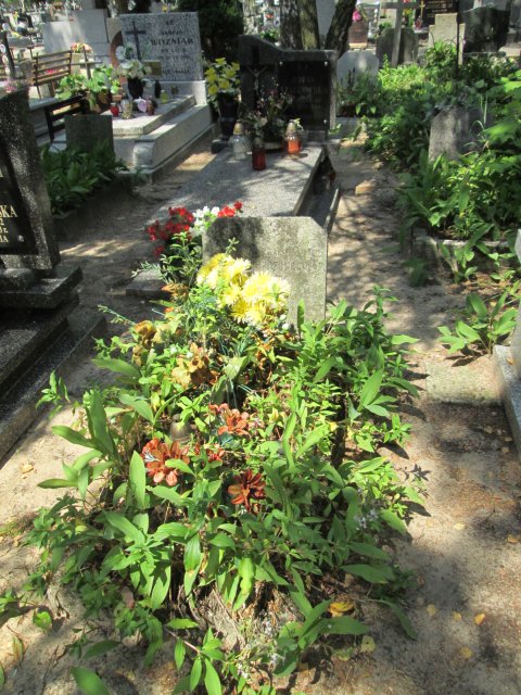 Jadwiga Kazimiera GRAMERA 1943 Włocławek 0965 - Grobonet - Wyszukiwarka osób pochowanych