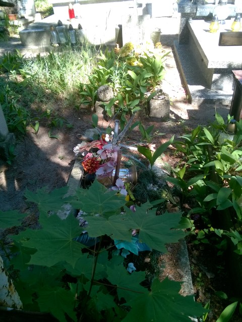 JERZY KAZIMIERZ WOLENTARSKI 1943 Włocławek 0965 - Grobonet - Wyszukiwarka osób pochowanych