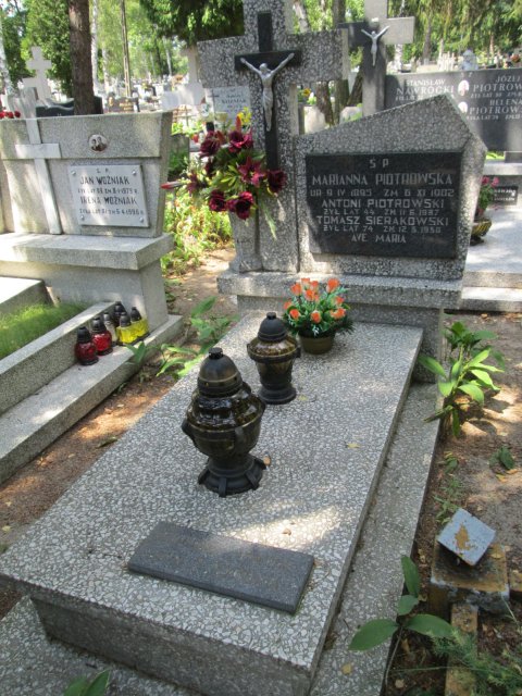 Antoni PIOTROWSKI 1899 Włocławek 0965 - Grobonet - Wyszukiwarka osób pochowanych