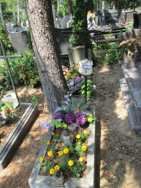 Włodzimierz PIECHOCKI 1945 Włocławek 0965 - Grobonet - Wyszukiwarka osób pochowanych