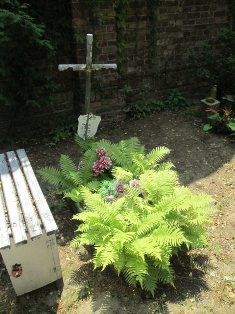 Romana MADALIŃSKA 1945 Włocławek 0965 - Grobonet - Wyszukiwarka osób pochowanych