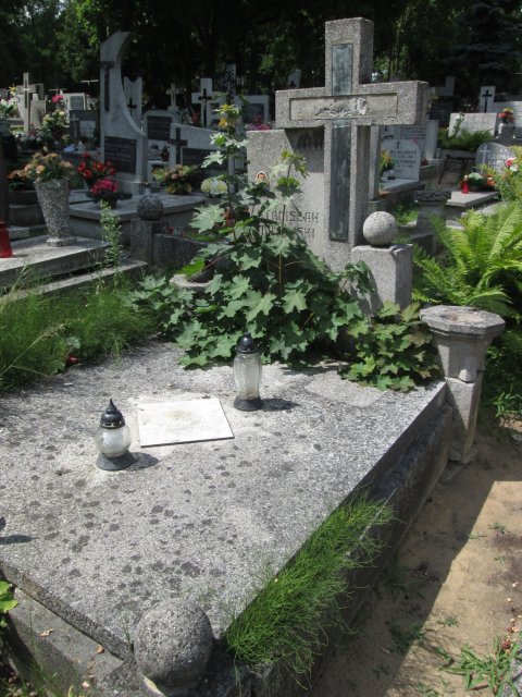 Stanisław MAJEWSKI 1903 Włocławek 0965 - Grobonet - Wyszukiwarka osób pochowanych